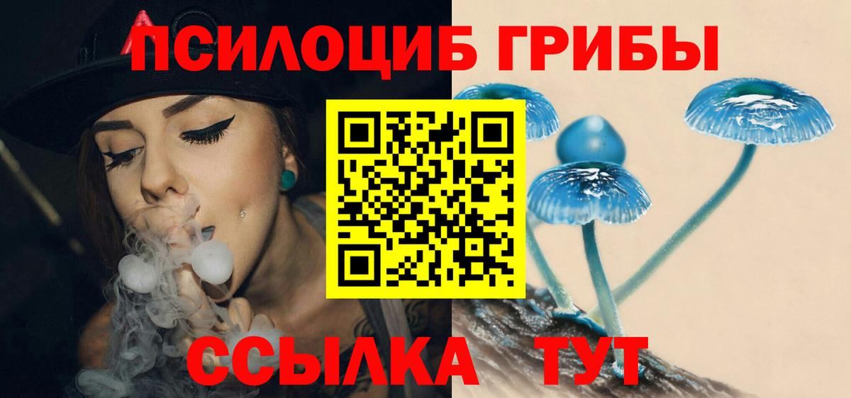 Псилоцибиновые грибы Psilocybe  Галлюциногенные грибы MAGIC MUSHROOMS  Вход с VPN  Белгород 